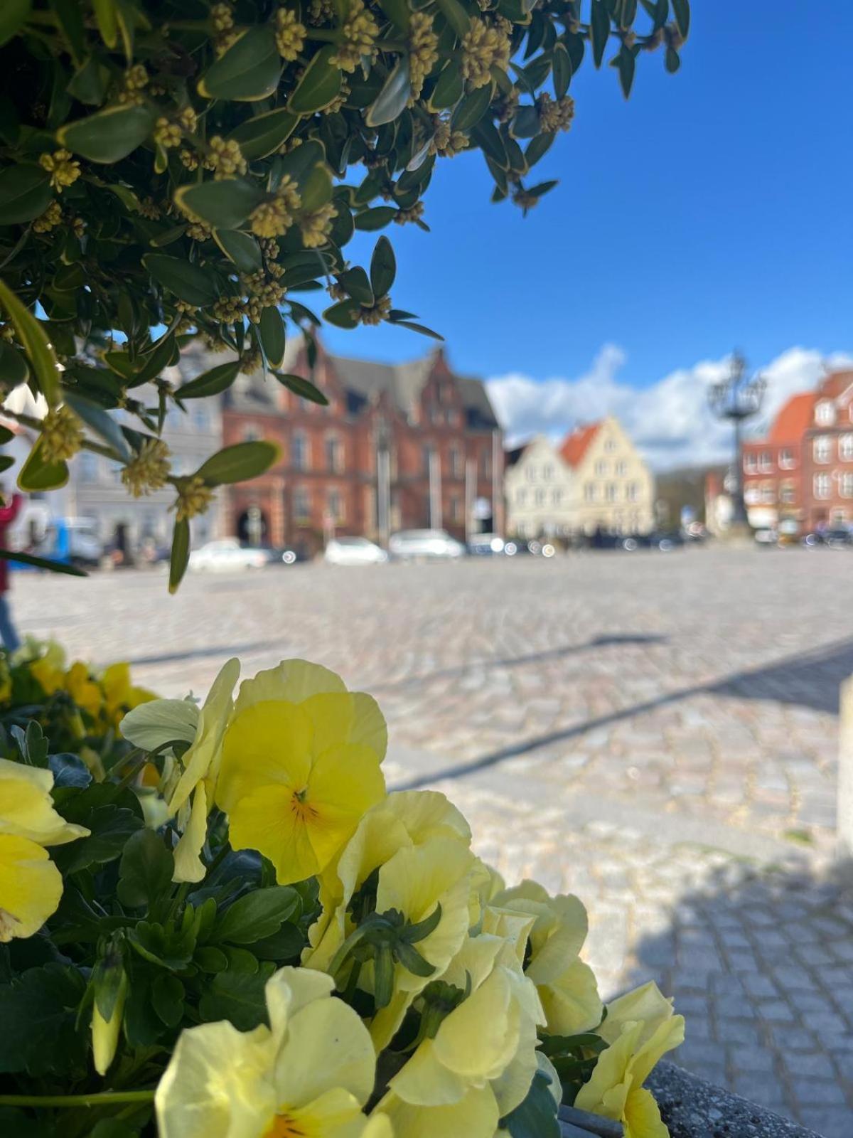 Lykkefund - Ferienwohnungen In Hafennaehe Glückstadt Dış mekan fotoğraf